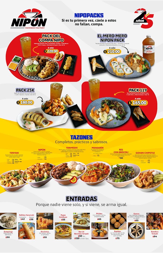 Nipon Tazon Teriyaki