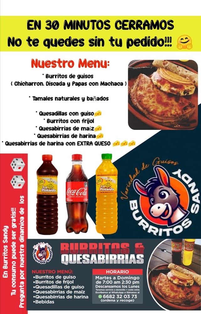 Burritos y Quesabirrias Sandy