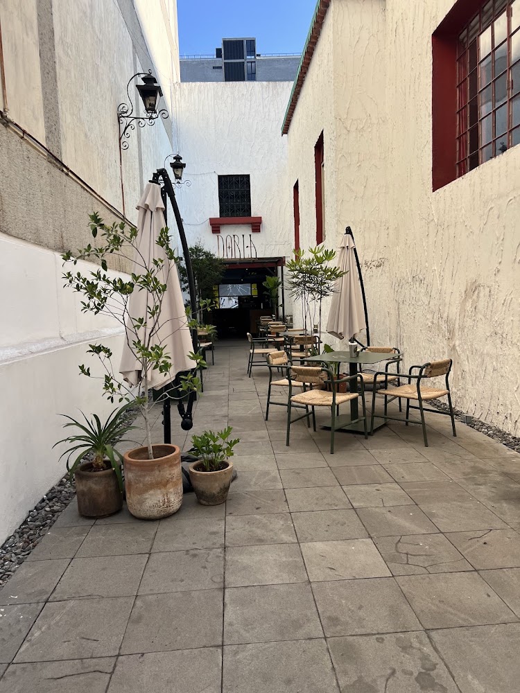 Dorla café de especialidad