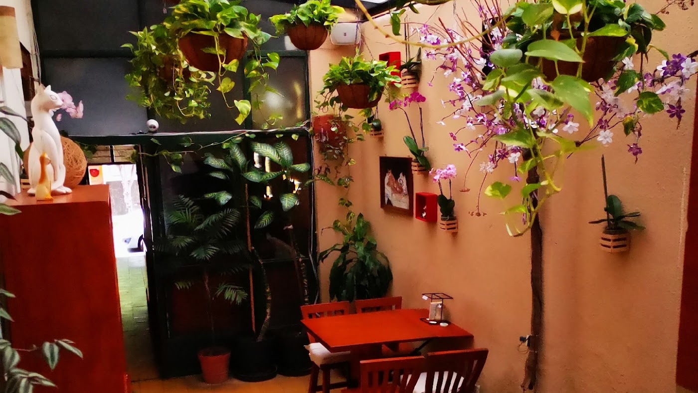 Restaurant Café El Gato Café