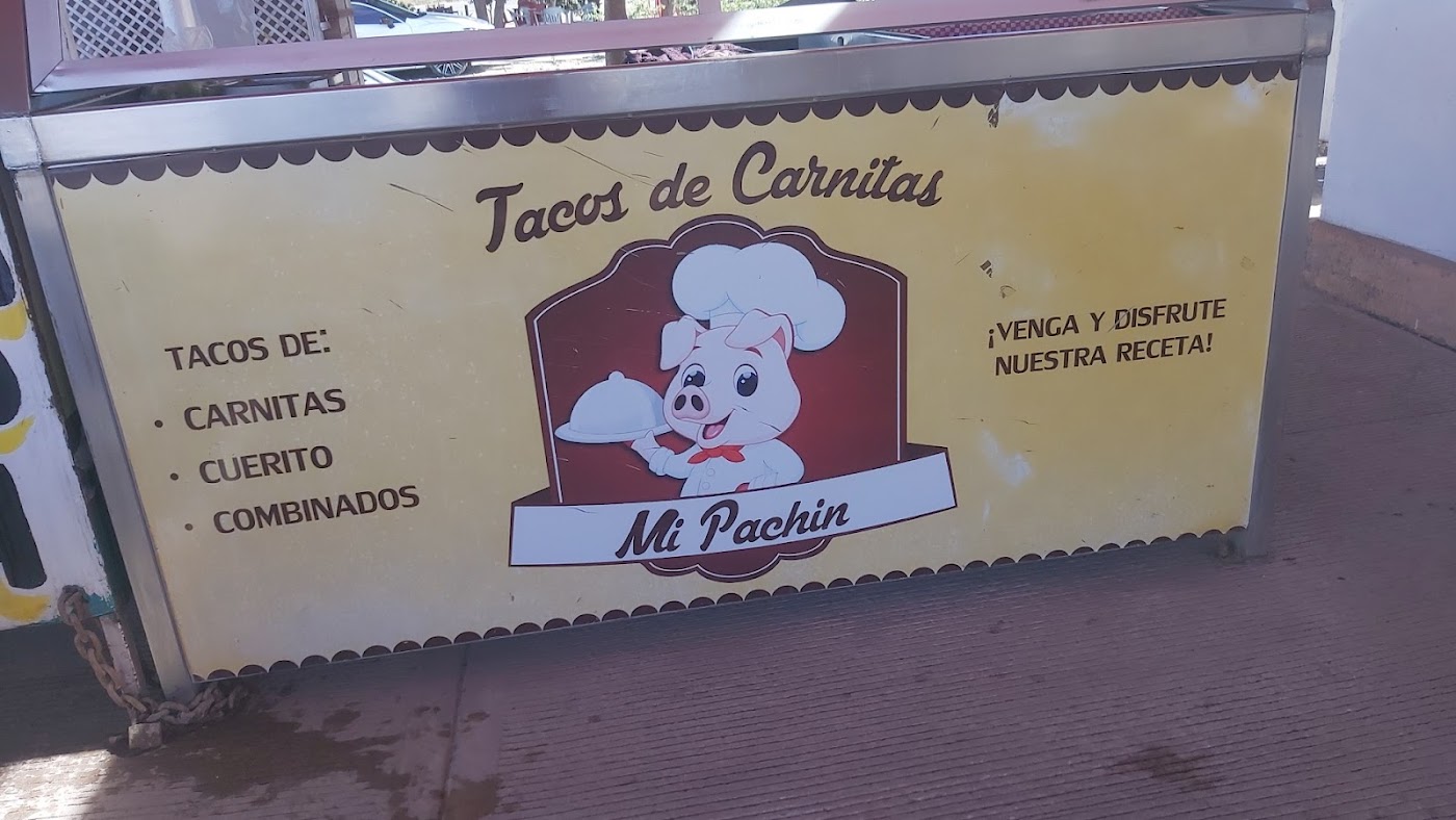 Tacos de birria y carnitas mi pachin