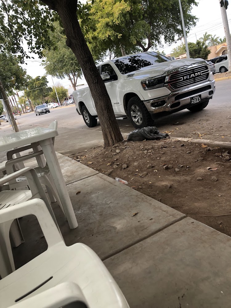 Tacos Parados TP