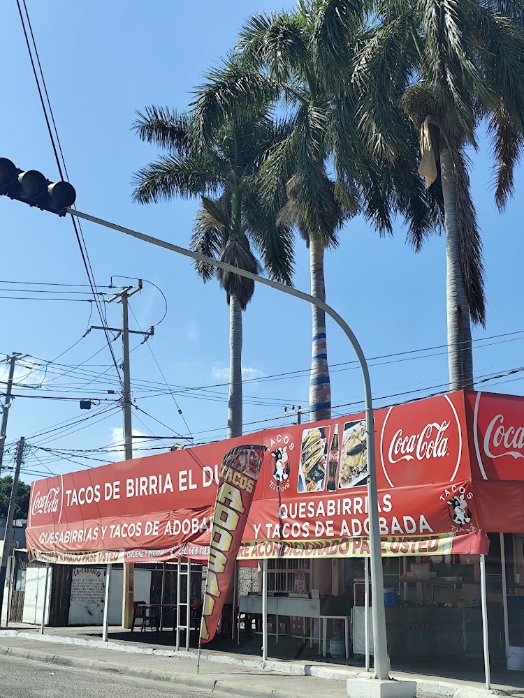 Tacos de Birria El Duva