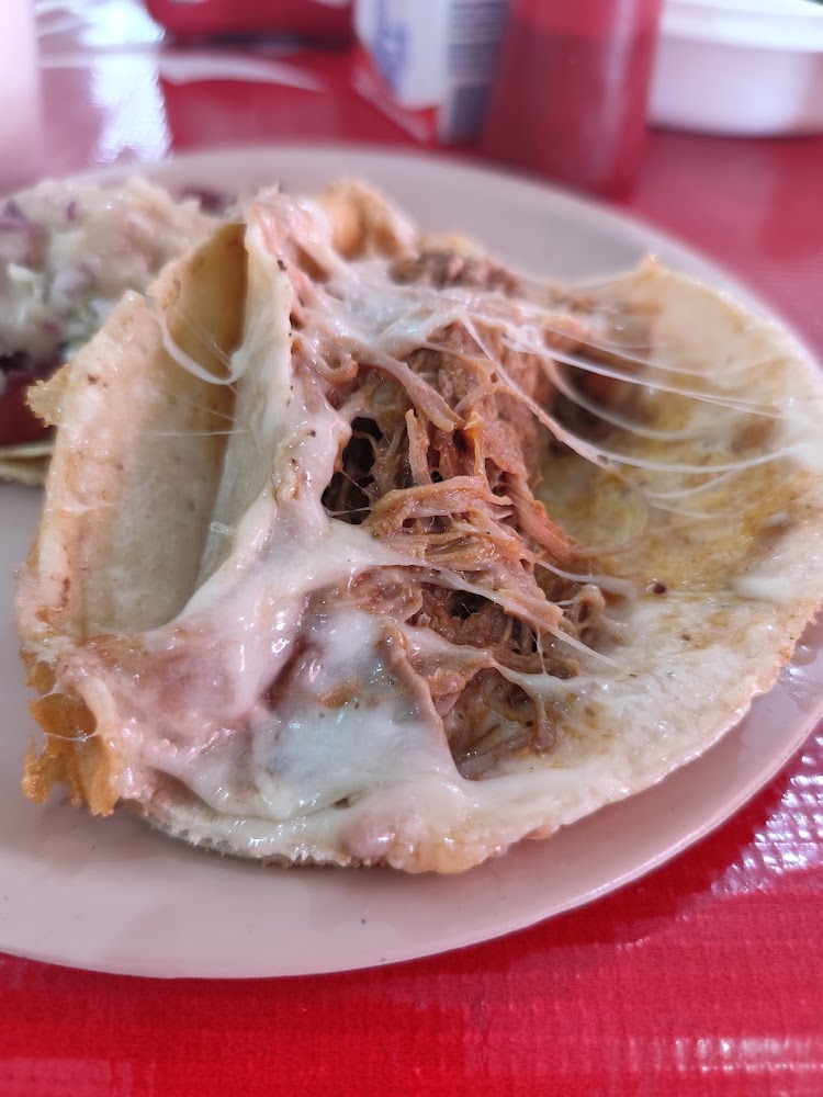 Tacos de Birria El Duva