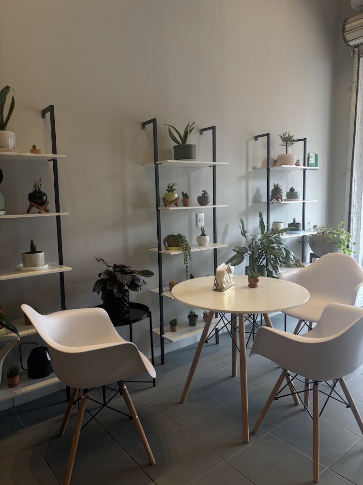 Alere Café – Coworking y Café de Especialidad en Guadalajara