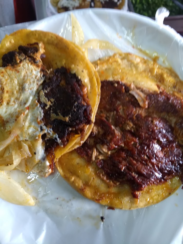 Tacos Moy