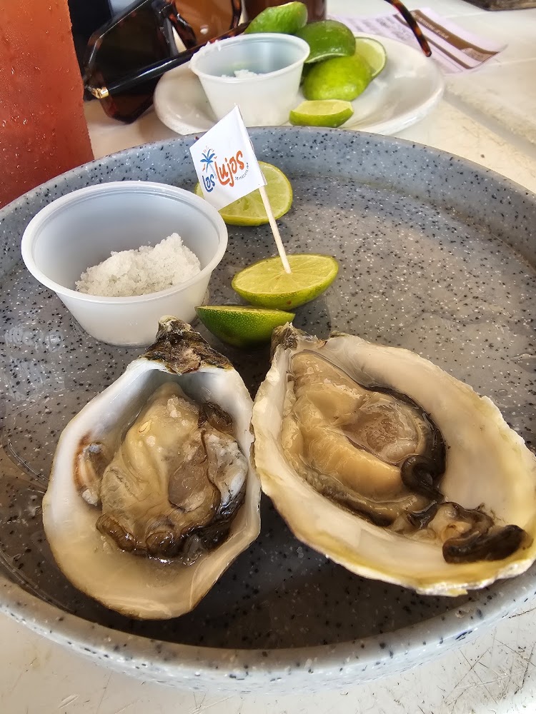 Los Lujos de Mazatlan
