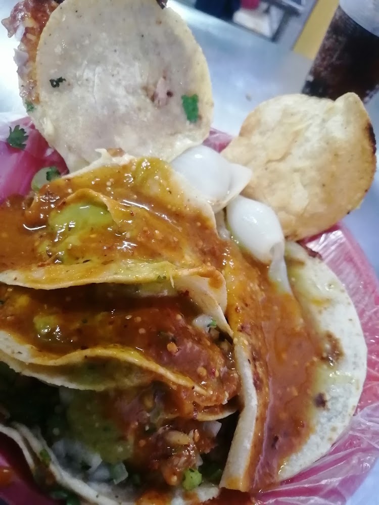 Tacos Felipe Zetter