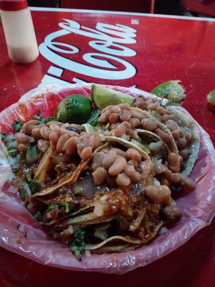 Tacos Felipe Zetter
