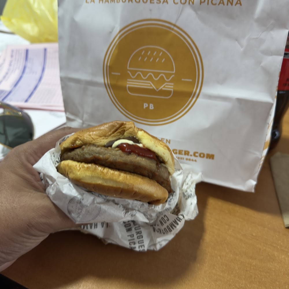Picañas Burger Providencia