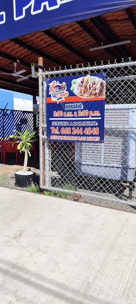 Tacos de camaron y pescado el pavo