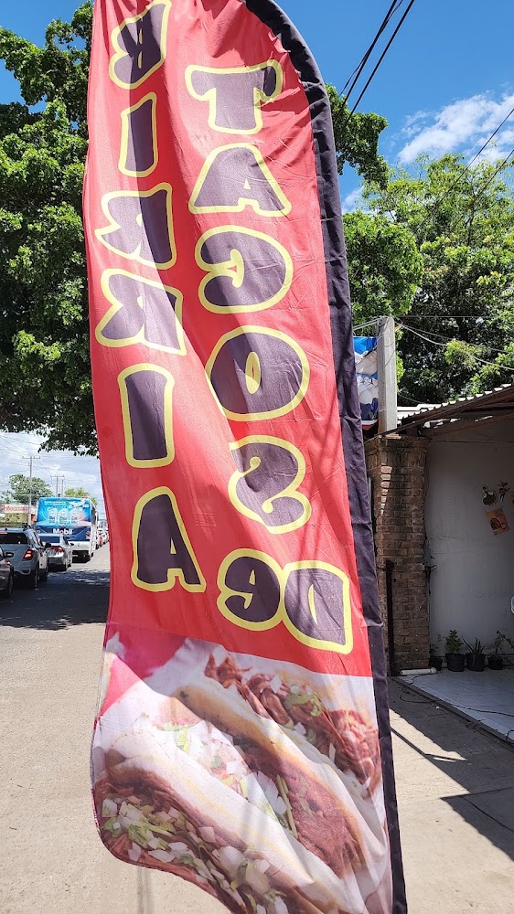 Tacos de Adobada el Yuca