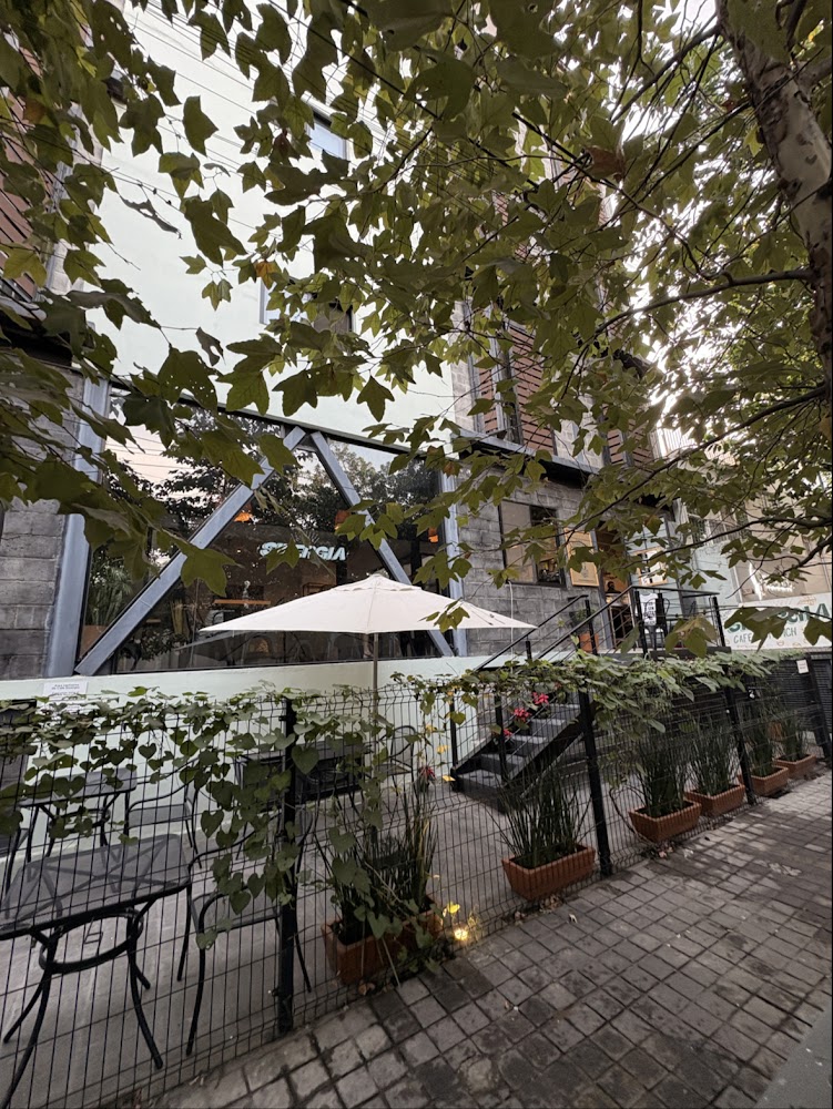 Café Sinergia