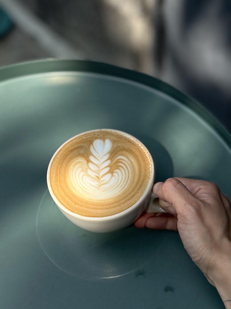 Café Sinergia