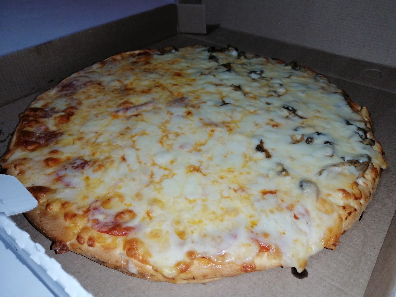 Máster Pizza Mazatlán