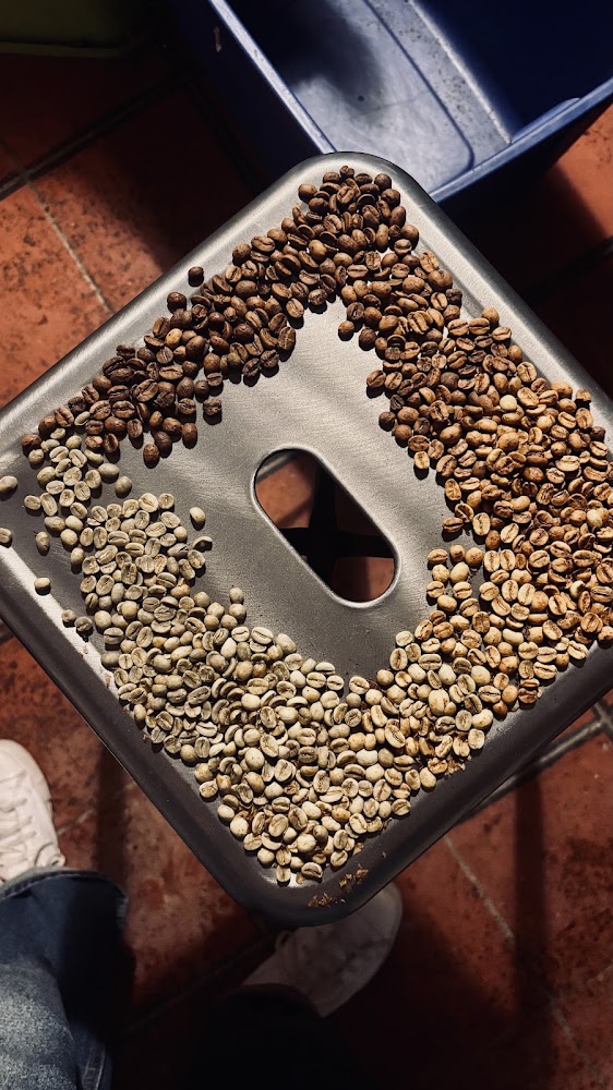 Estampida Café | Café de especialidad y Brew bar