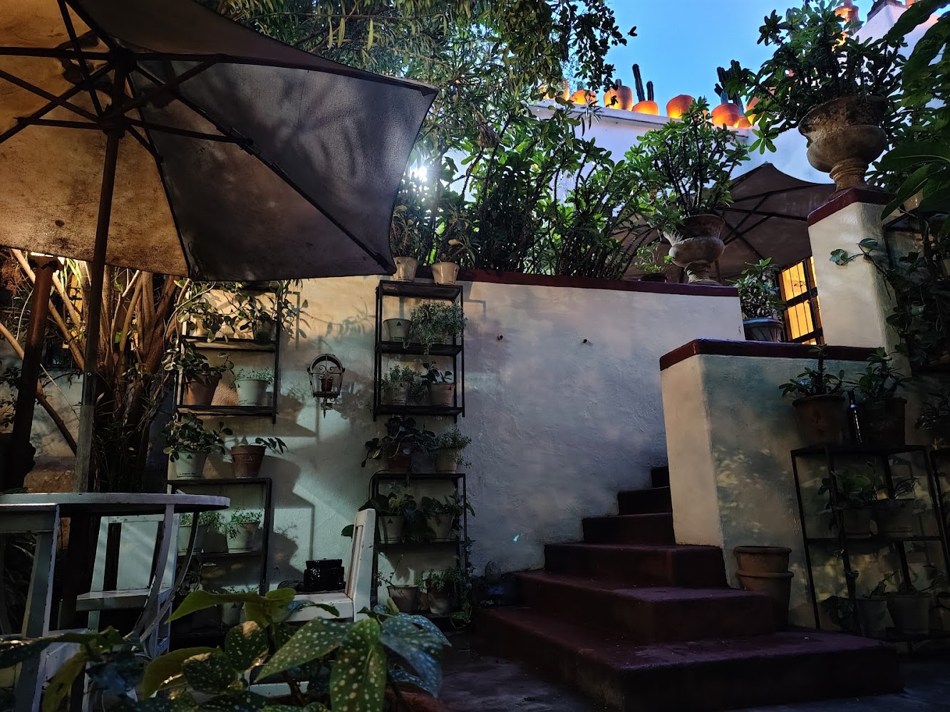 Los Arrayanes Café