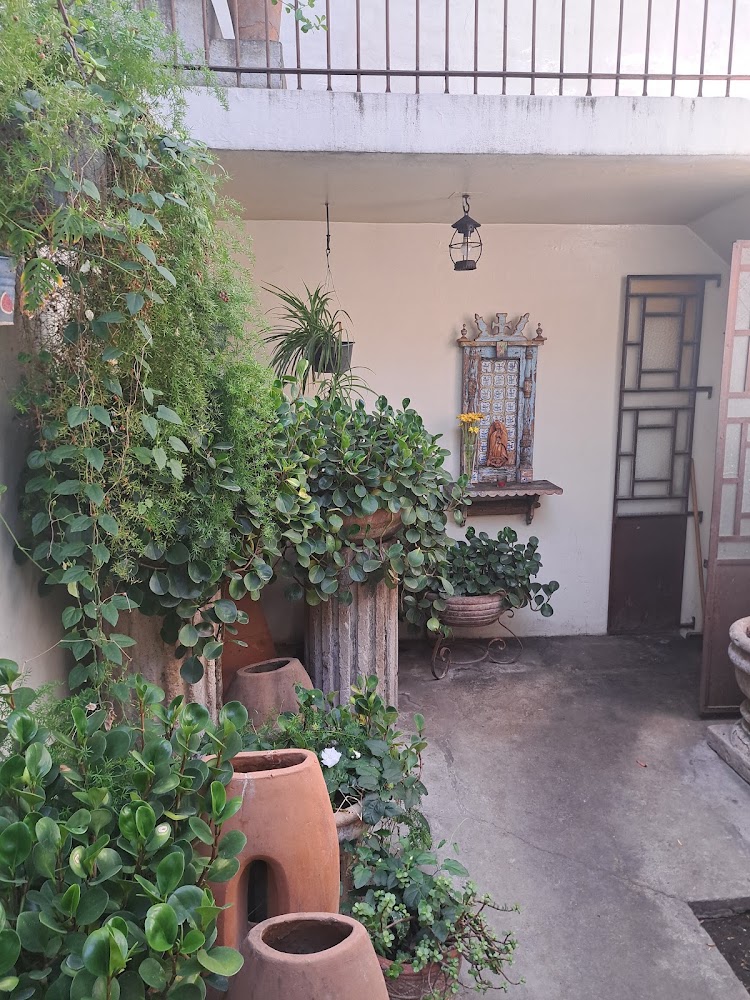 Los Arrayanes Café