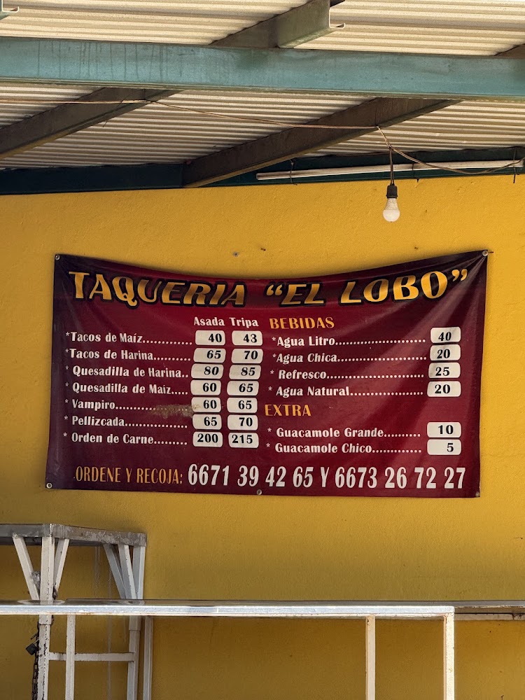 Tacos El Lobo