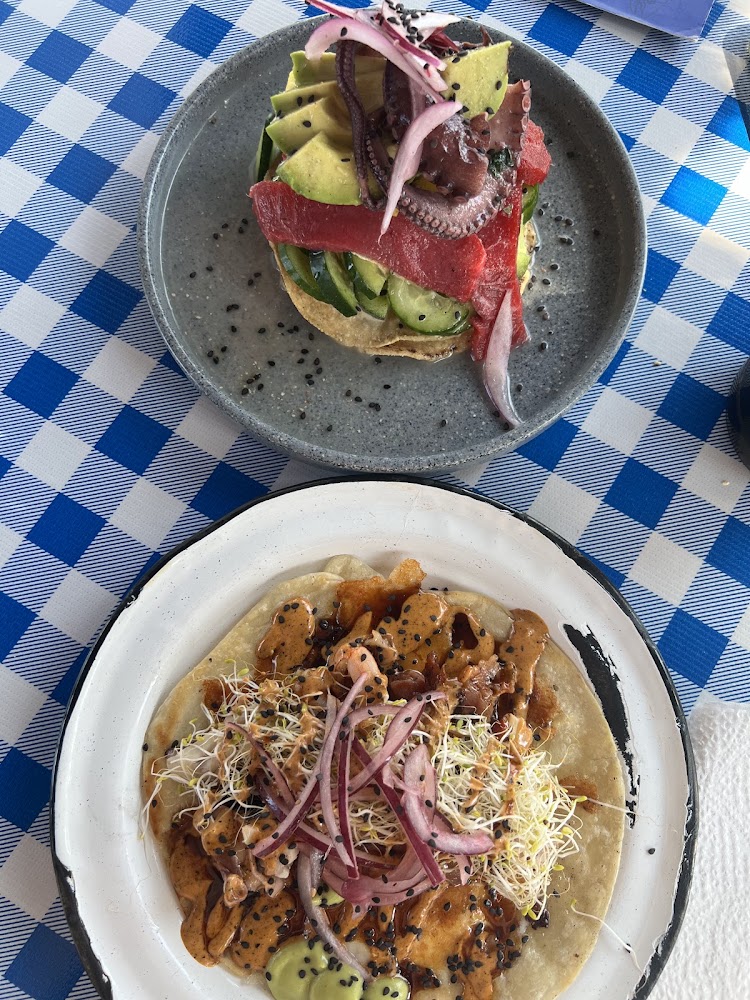 Mono de Mar