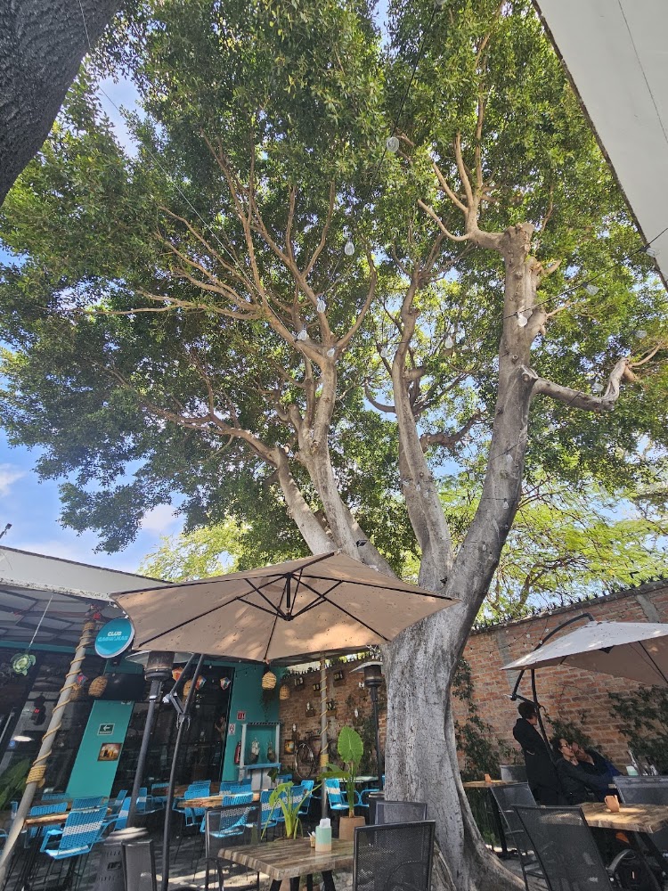 Kafeega Rooti