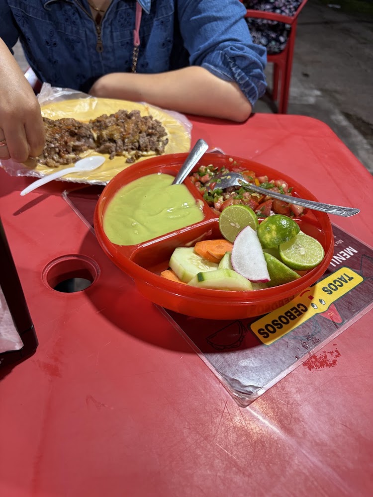 Tacos Cebosos