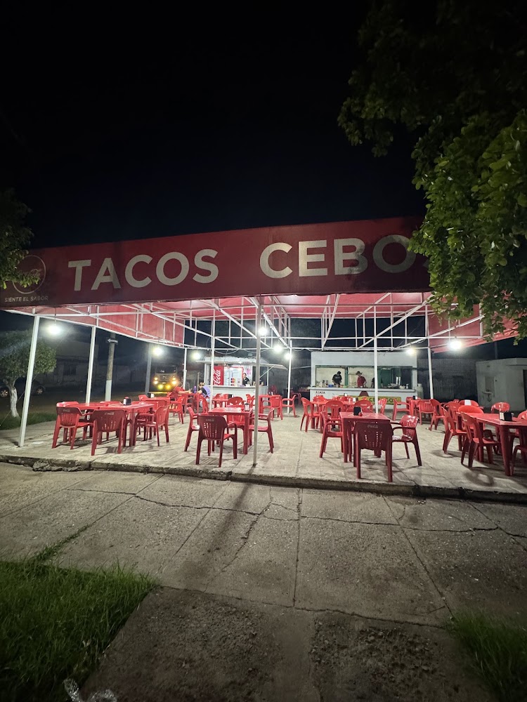 Tacos Cebosos