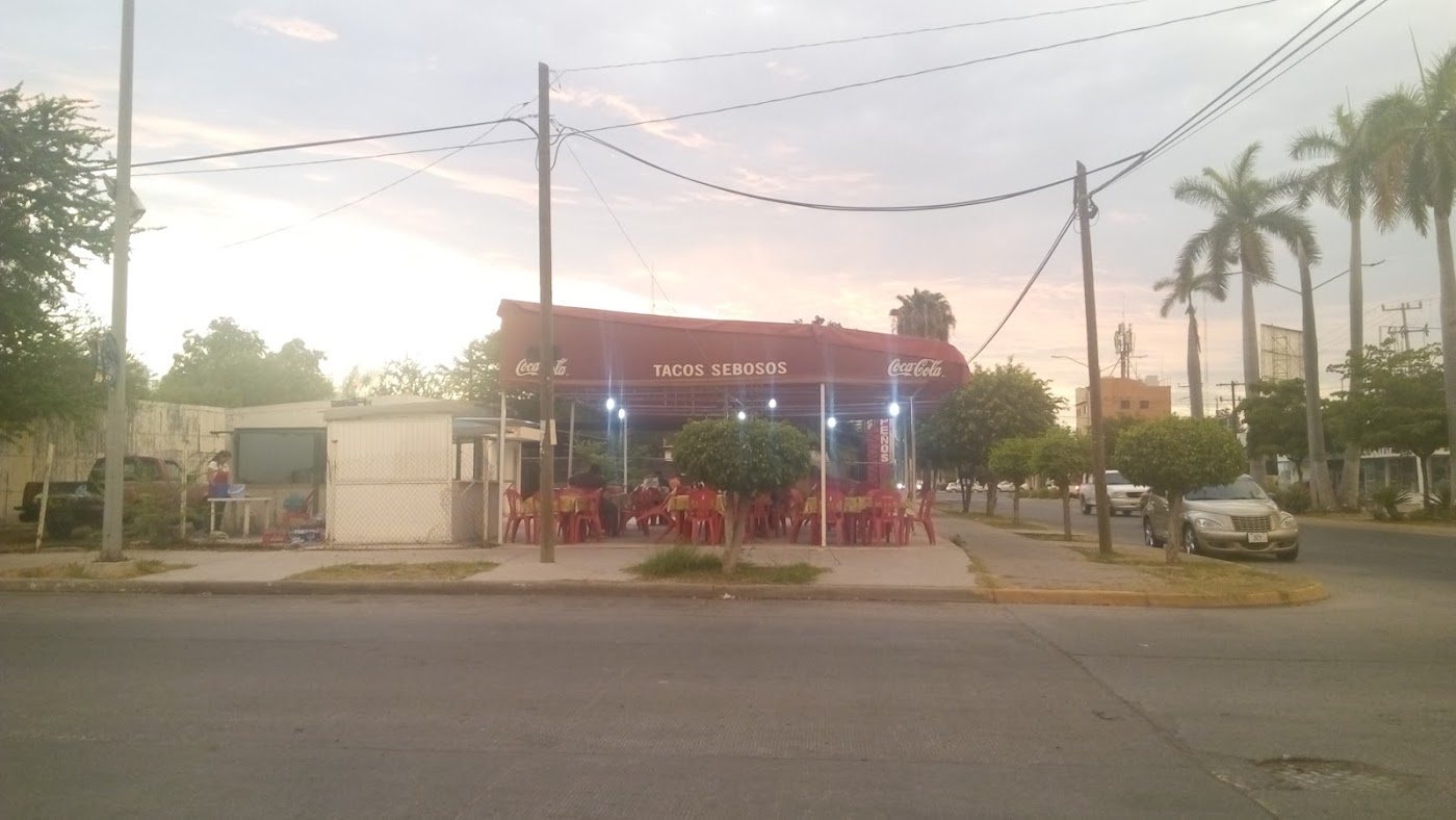 Tacos Cebosos