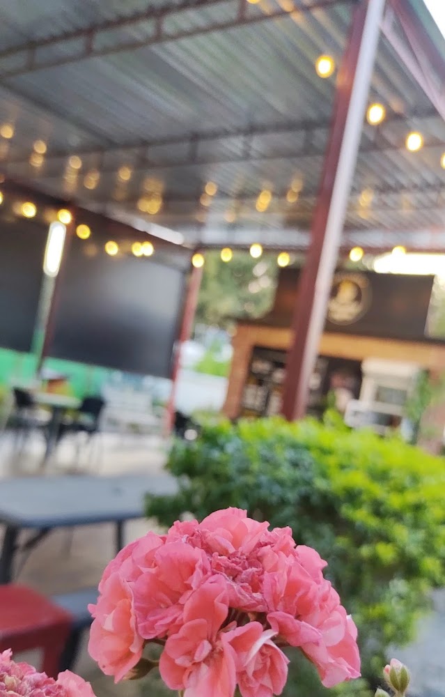 Morning coffe