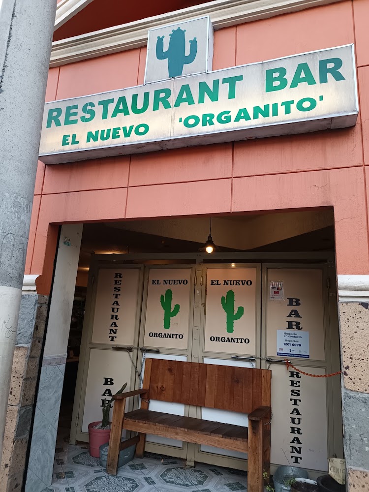 EL NUEVO ORGANITO