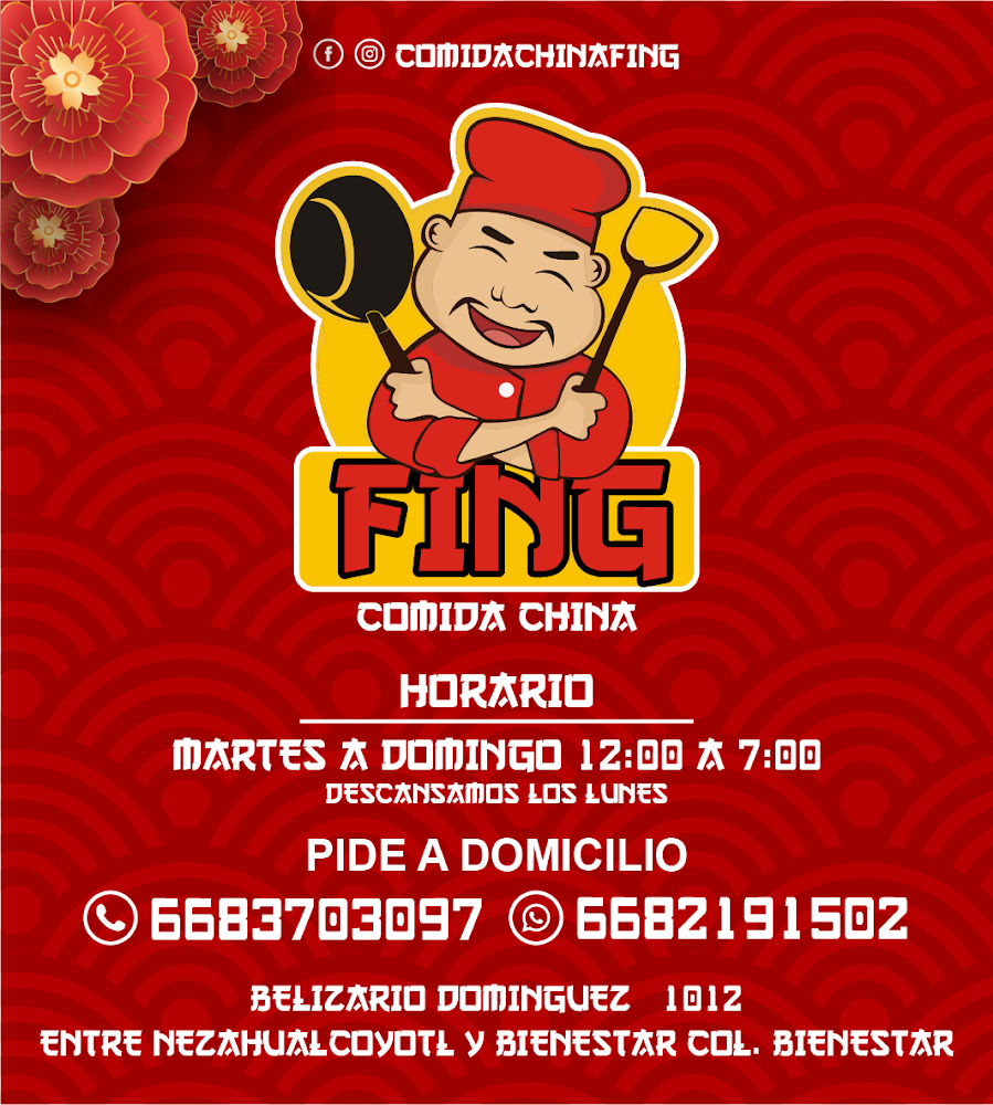 Comida China Fing