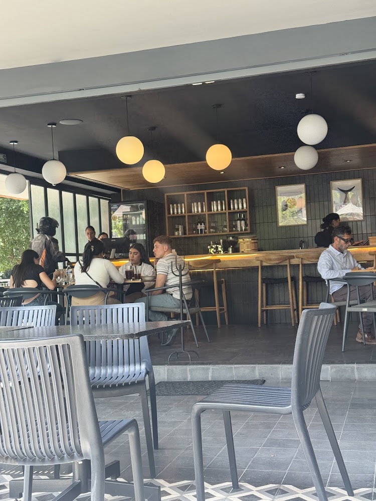 MOMA SUSHI GDL