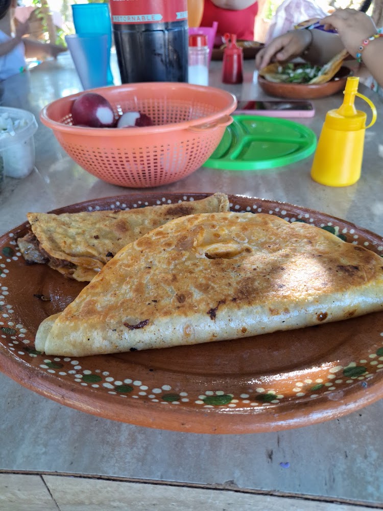 Tacos y birria Doña Flor