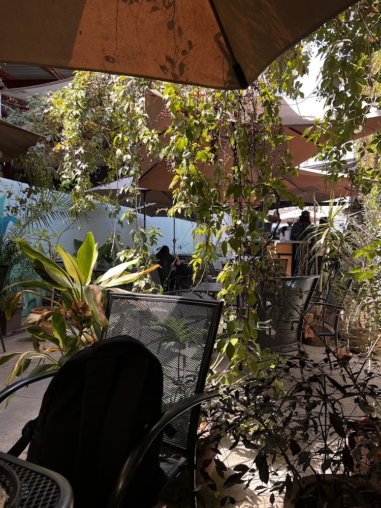 Luna Café