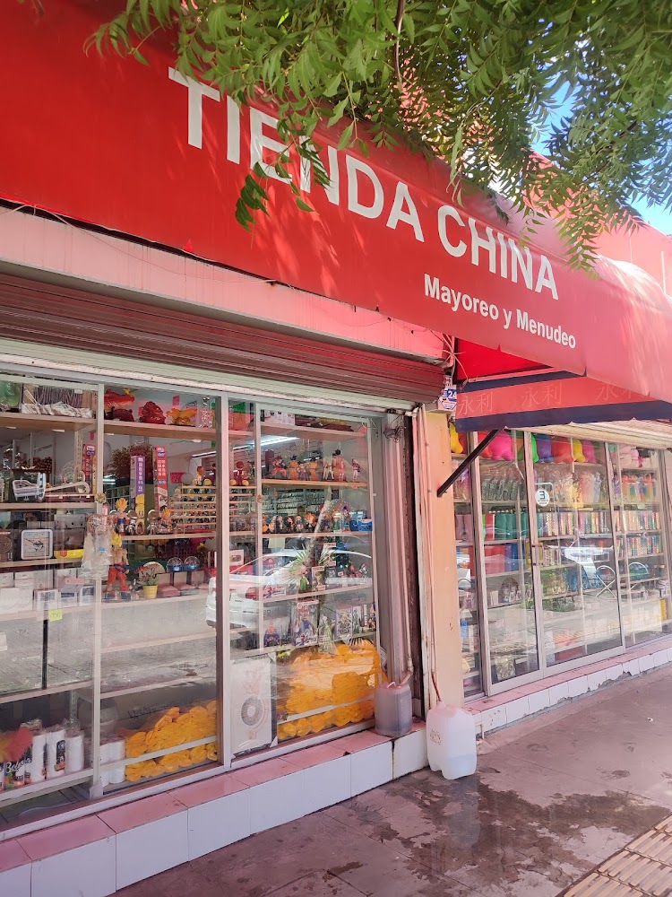 Tienda China Mayoreo Y Menudeo