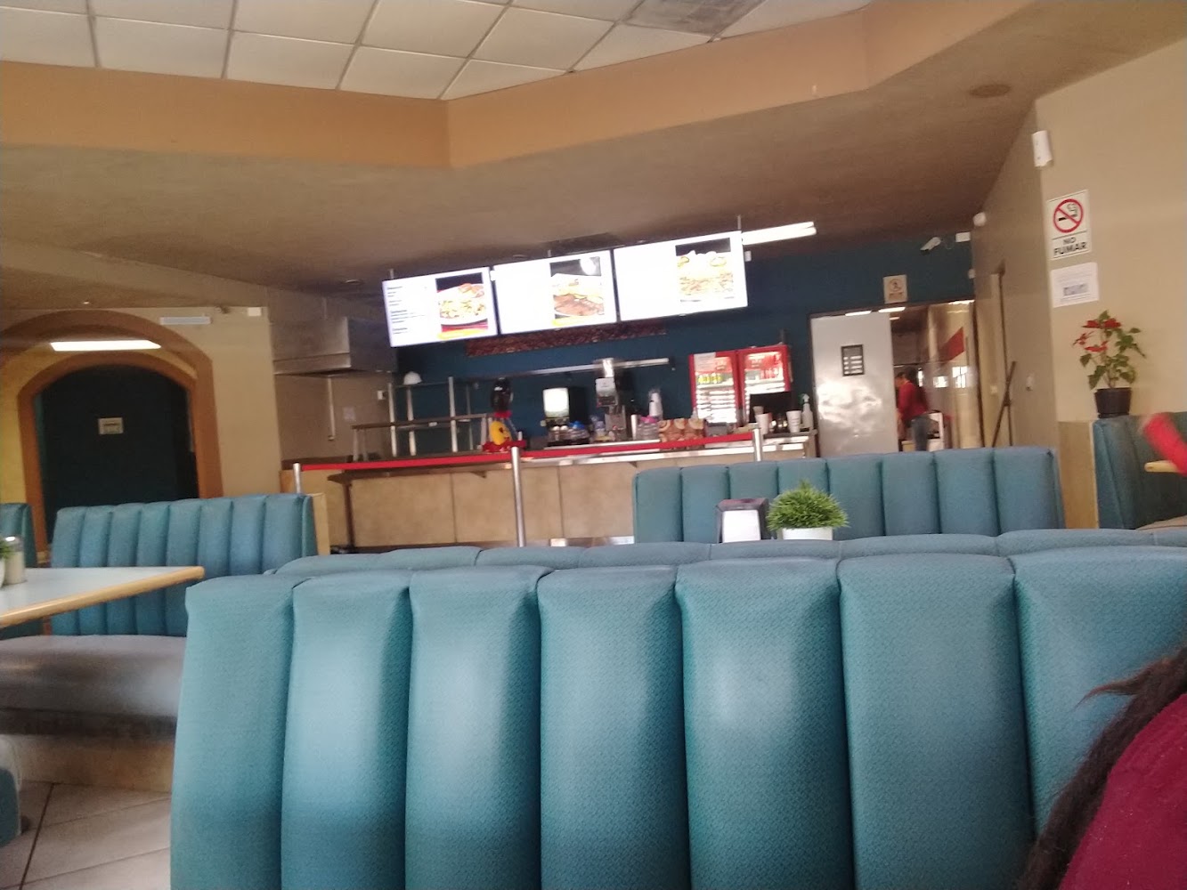 Restaurante el lienzo