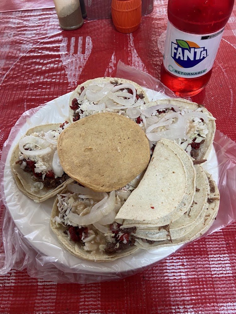 Tacos Jimmy³s