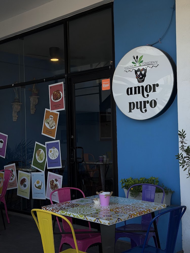 Amor Puro Cocina Consciente