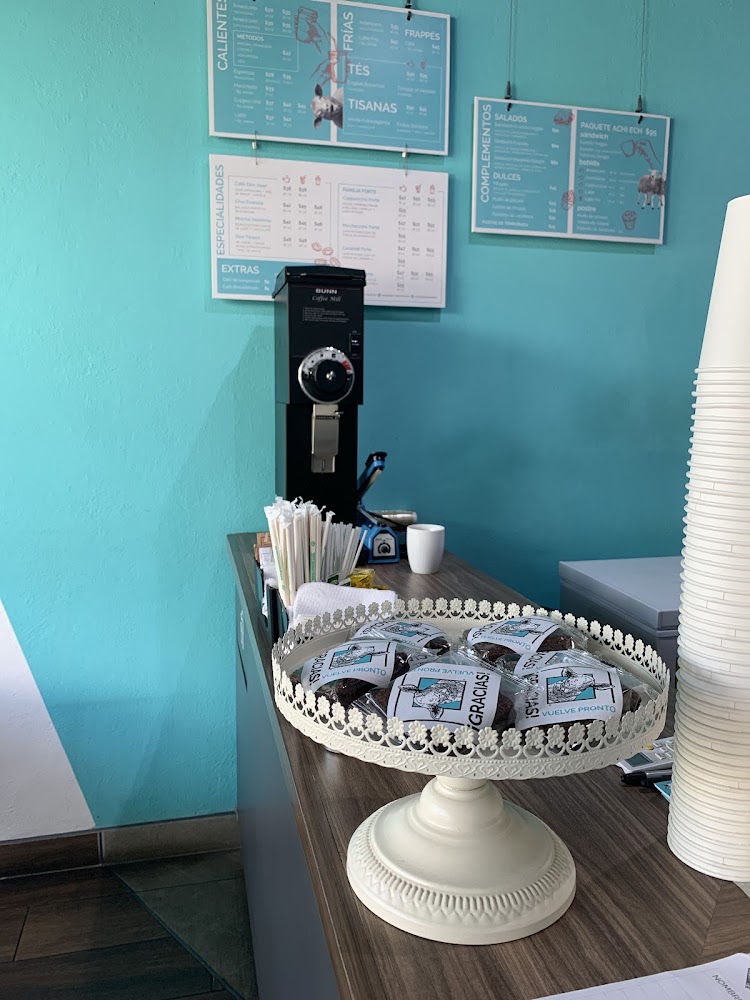 Insomnia Café