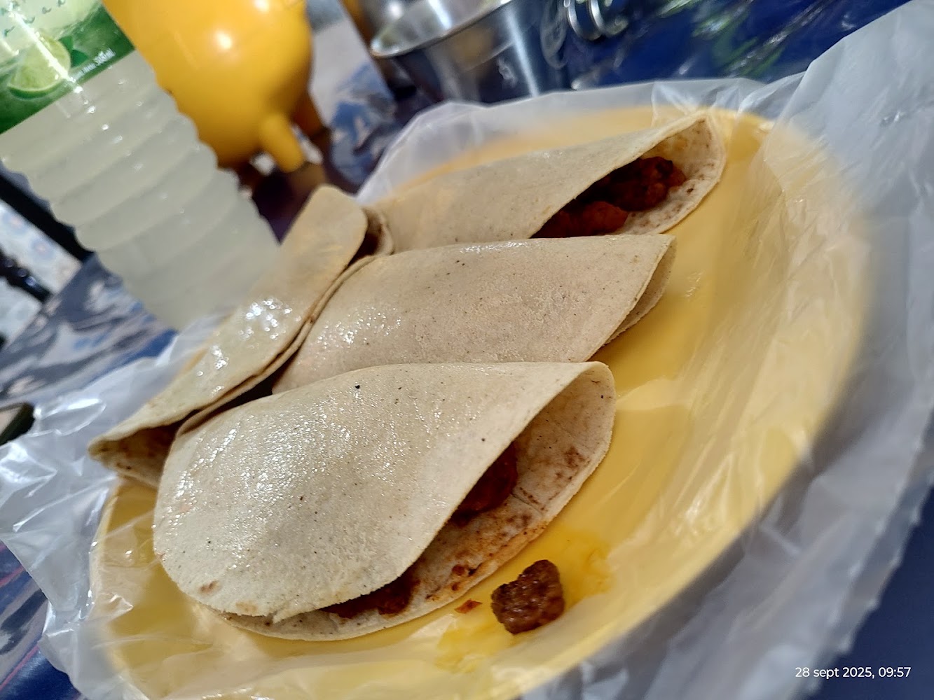 Tacos al Vapor y de Canasta Paty Trejo