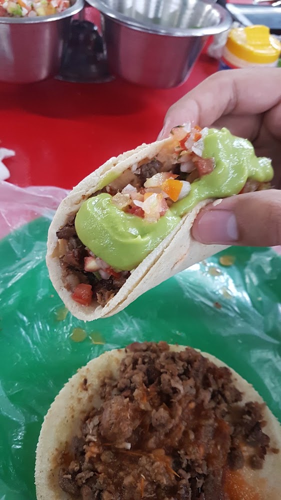 Taquería los Reales
