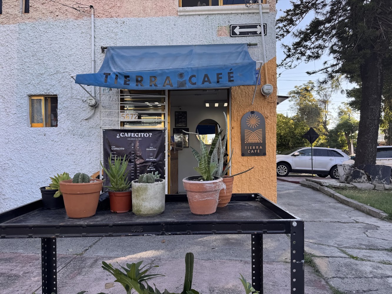 Tierra Café MX