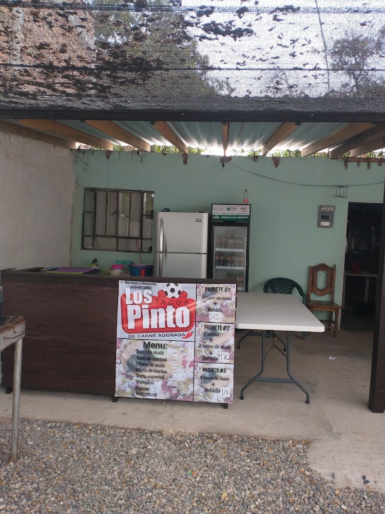 tacos los pinto