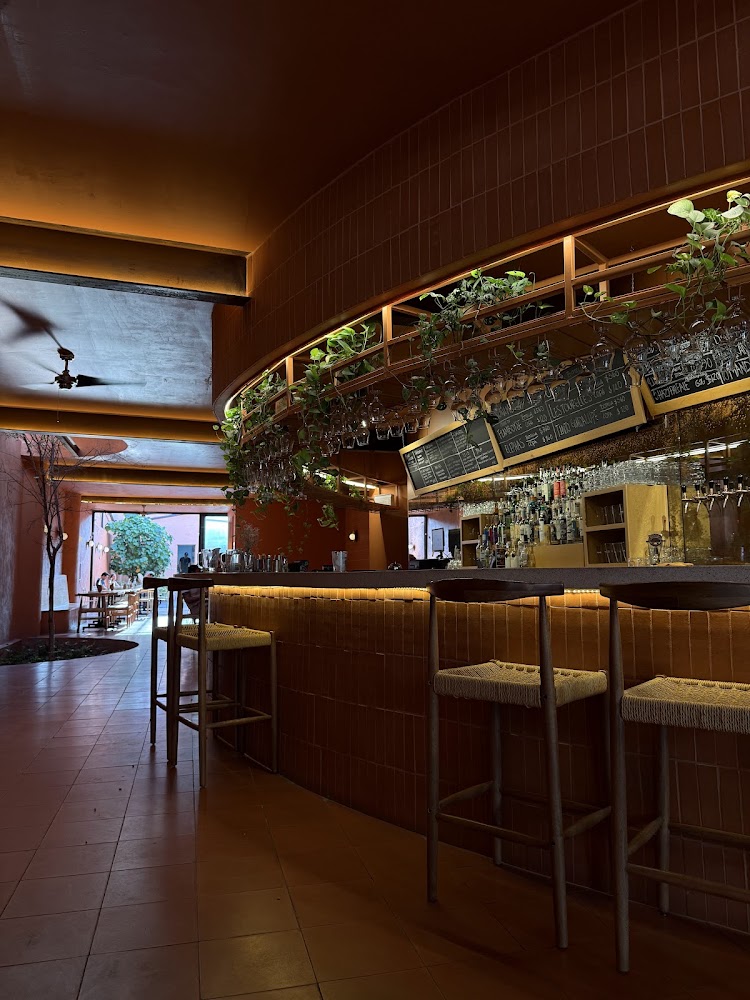 Cerveza Zorra Bistro Pub