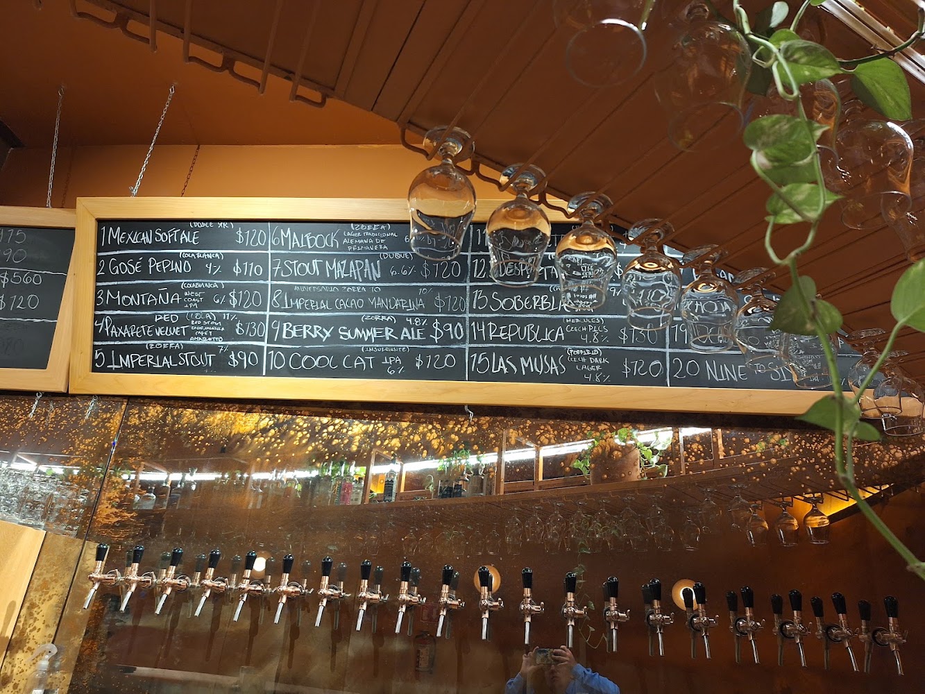Cerveza Zorra Bistro Pub