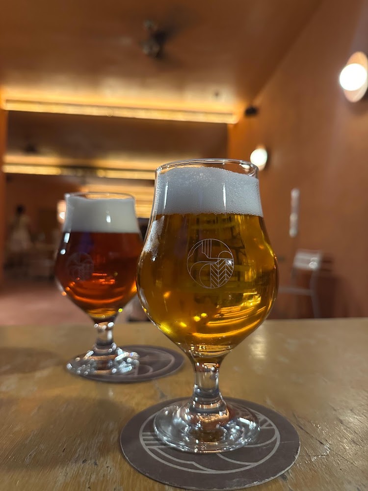 Cerveza Zorra Bistro Pub