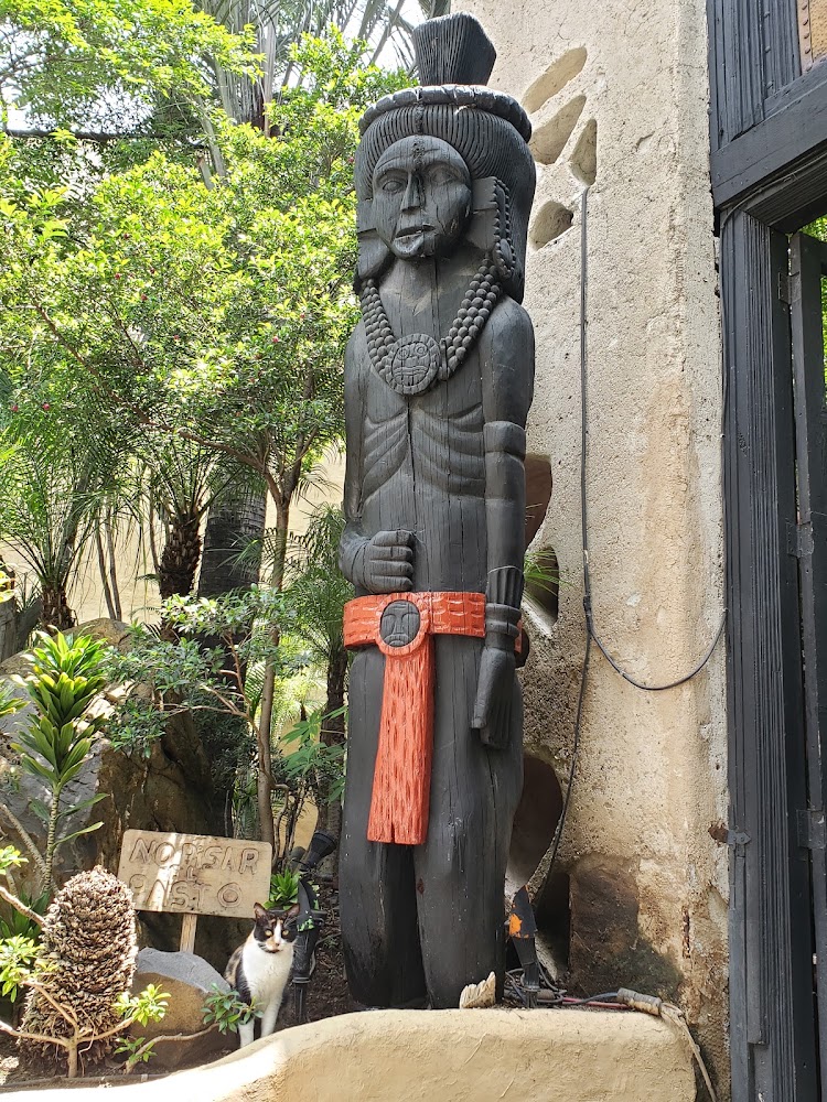 Santo Coyote