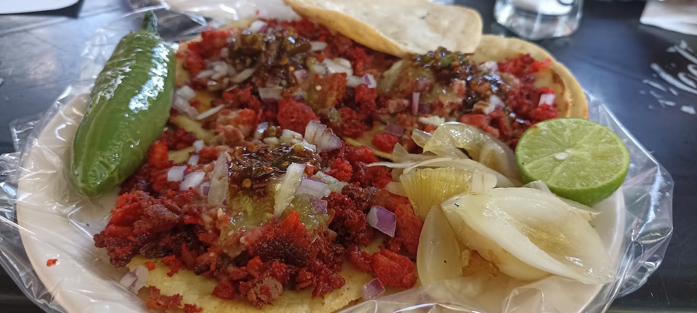 Tacos Gera Adobada
