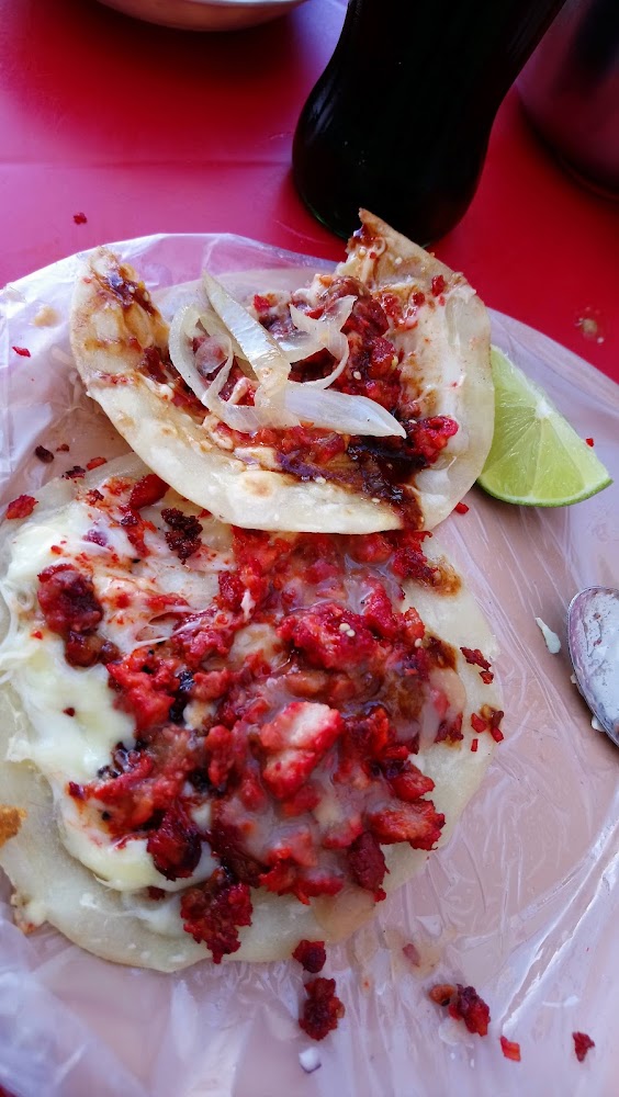Tacos Gera Adobada