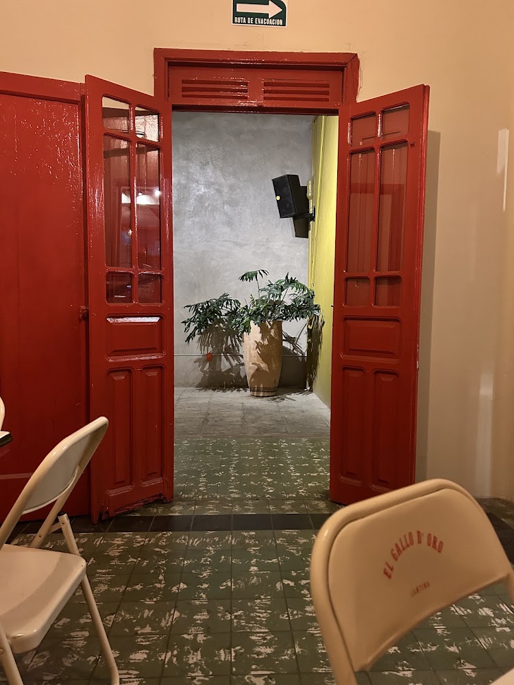 El Gallo D' Oro Cantina